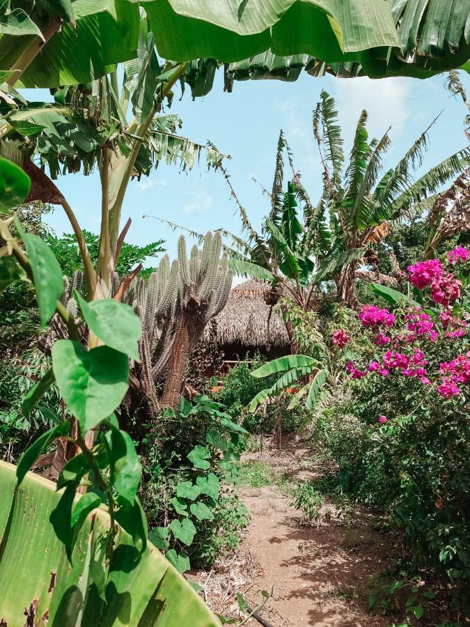 Mondi Lodge Sint Michiel Luaran gambar