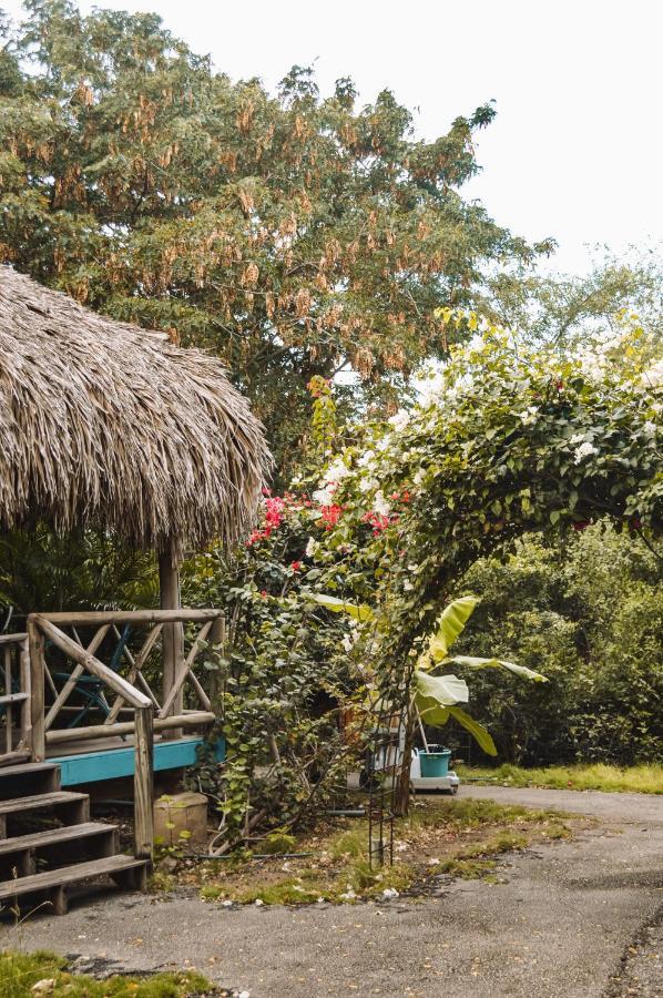 Mondi Lodge Sint Michiel Luaran gambar