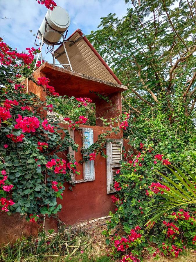 Mondi Lodge Sint Michiel Luaran gambar