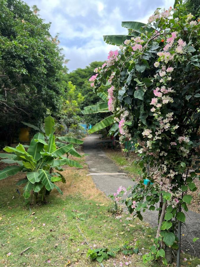 Mondi Lodge Sint Michiel Luaran gambar