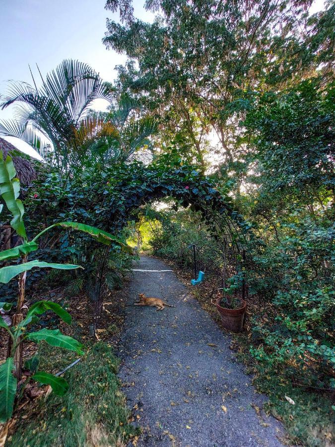 Mondi Lodge Sint Michiel Luaran gambar