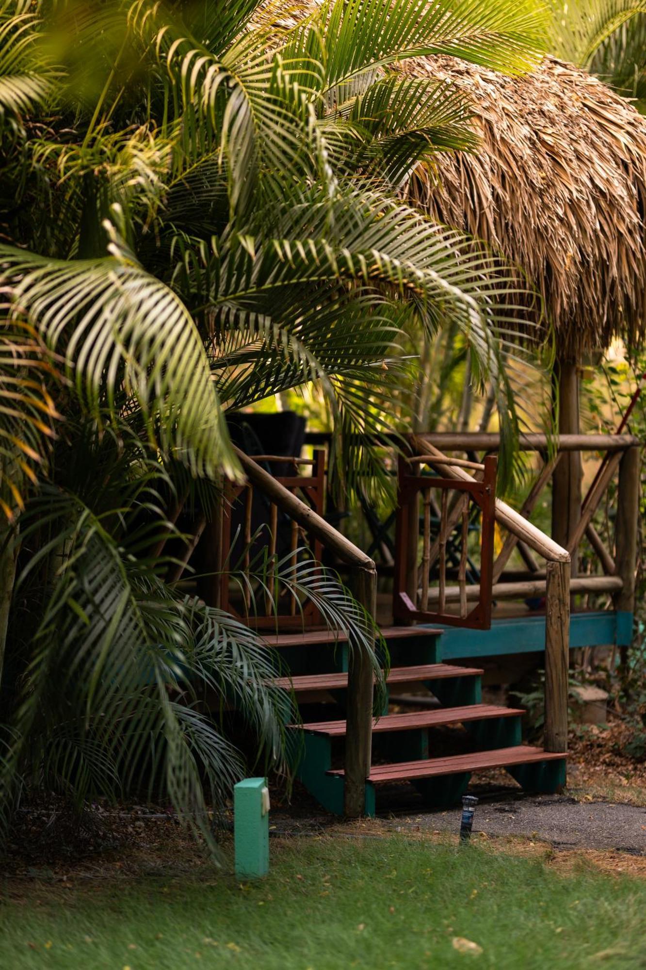 Mondi Lodge Sint Michiel Luaran gambar